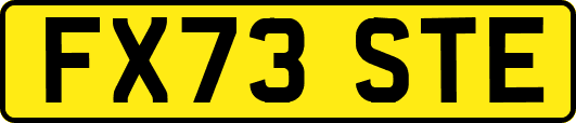 FX73STE