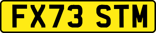 FX73STM