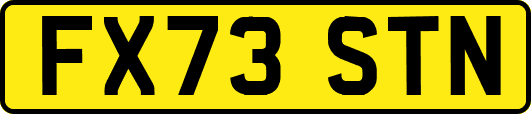 FX73STN