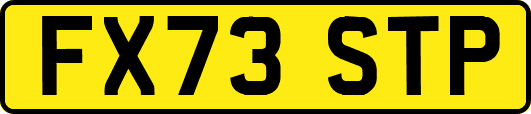 FX73STP