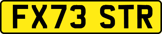 FX73STR