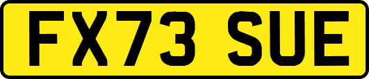 FX73SUE