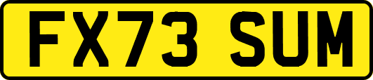 FX73SUM