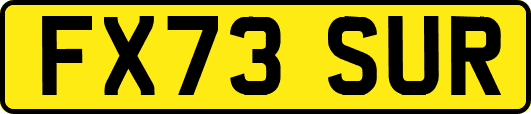 FX73SUR