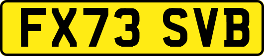 FX73SVB
