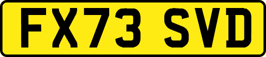 FX73SVD