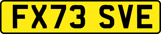 FX73SVE