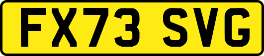 FX73SVG