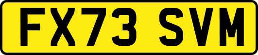 FX73SVM