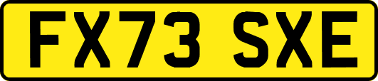 FX73SXE