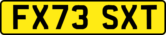 FX73SXT