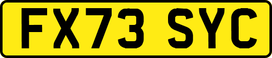FX73SYC