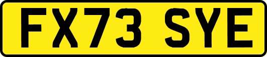 FX73SYE