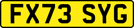 FX73SYG