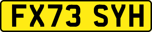 FX73SYH