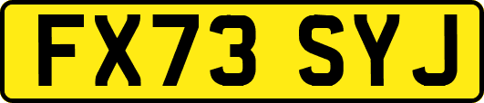 FX73SYJ