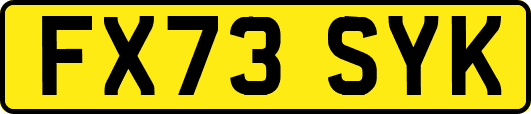 FX73SYK