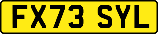 FX73SYL