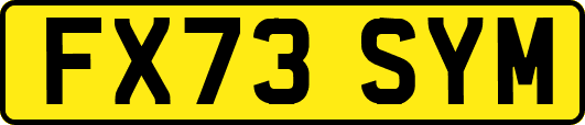 FX73SYM