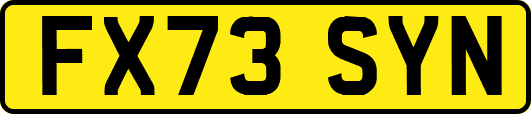 FX73SYN