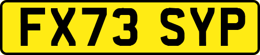 FX73SYP