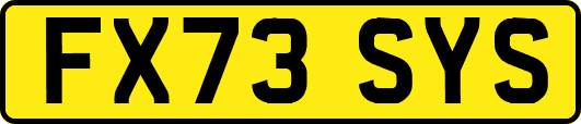 FX73SYS