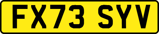 FX73SYV