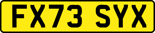 FX73SYX