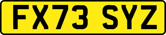 FX73SYZ