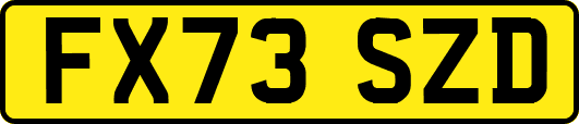 FX73SZD