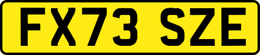 FX73SZE