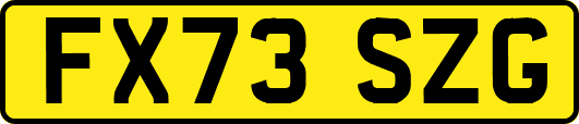 FX73SZG