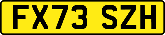 FX73SZH