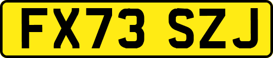 FX73SZJ