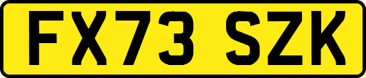 FX73SZK