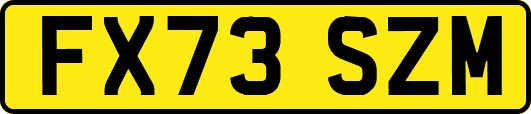 FX73SZM