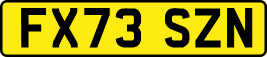 FX73SZN