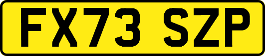FX73SZP