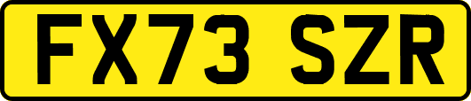 FX73SZR