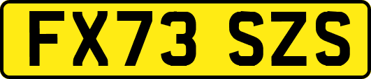 FX73SZS