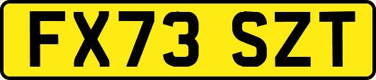 FX73SZT