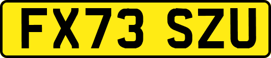 FX73SZU