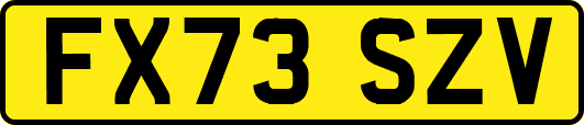 FX73SZV