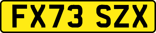 FX73SZX