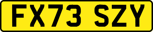 FX73SZY
