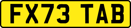 FX73TAB