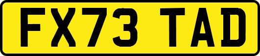 FX73TAD