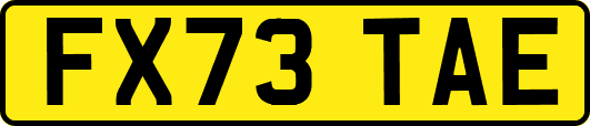 FX73TAE