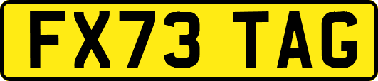 FX73TAG