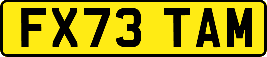 FX73TAM